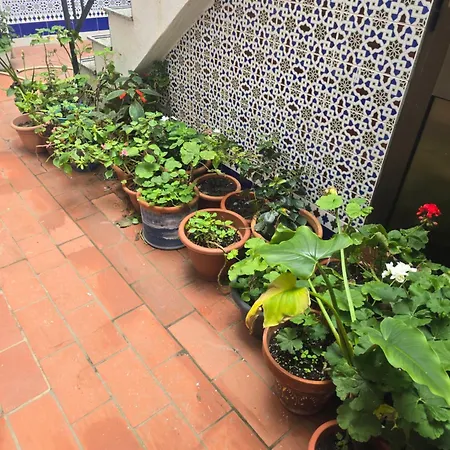 Guest house La Tortuga
